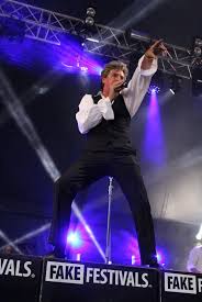 <q>fake festival 1</q>